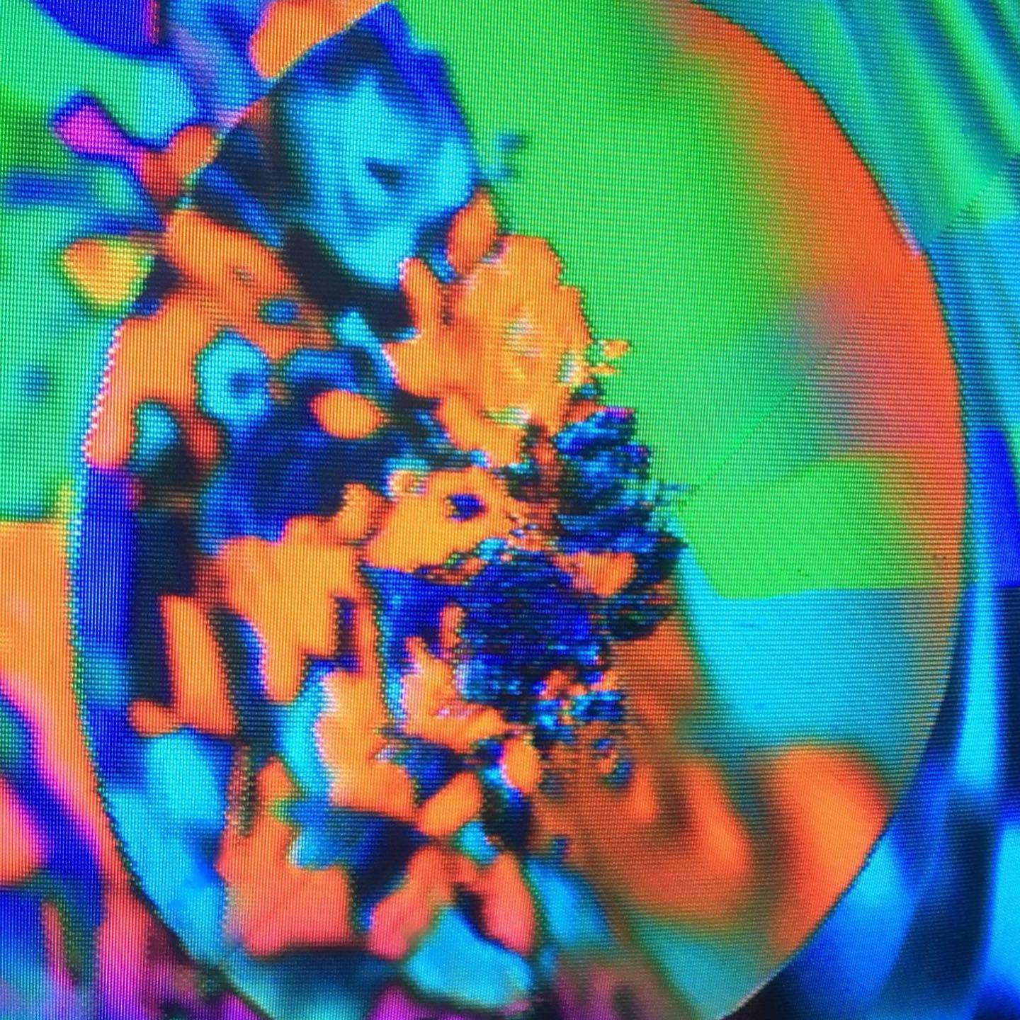 visuals